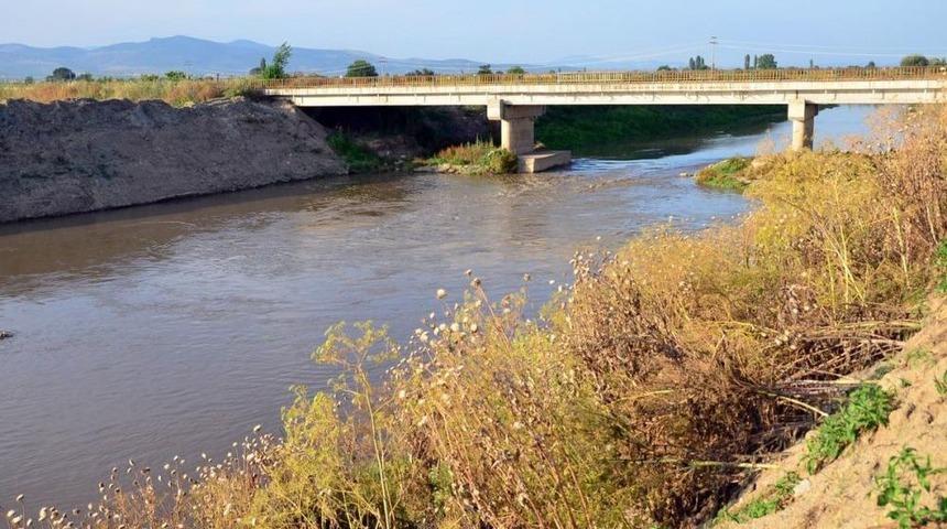 Gediz Nehri'ndeki Balık &Ouml;l&uuml;mleri