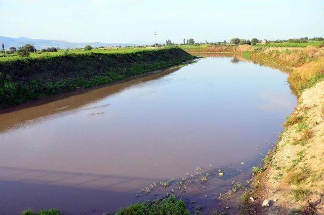 Gediz Nehri'ndeki Balık Ölümleri