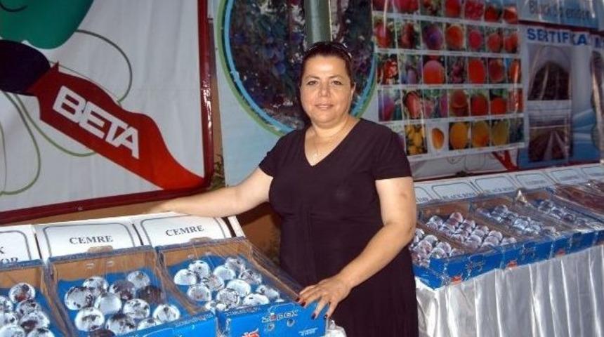 Meyve Bayramı'nda "cemre" Tanıtıldı
