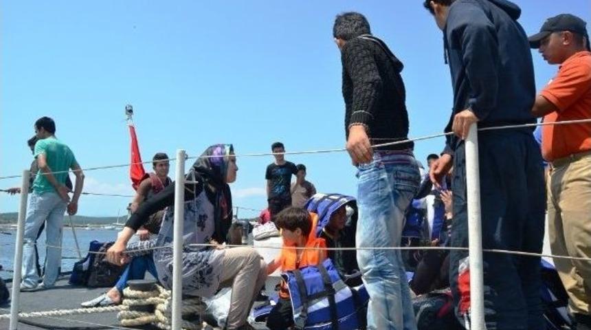 Avrupa B&ouml;lgesinde 73 Milyon G&ouml;&ccedil;men 10-12 Milyon Roman Yaşıyor