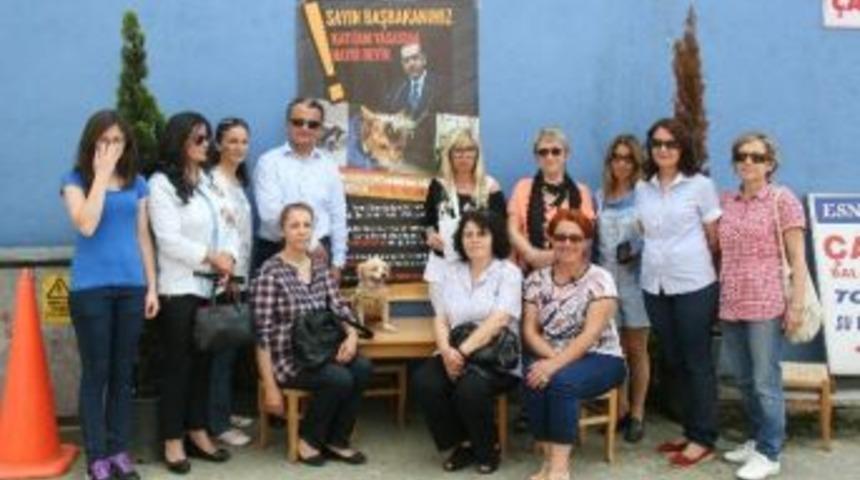 Haytap&rsquo;tan Başbakana &Ccedil;ağrı