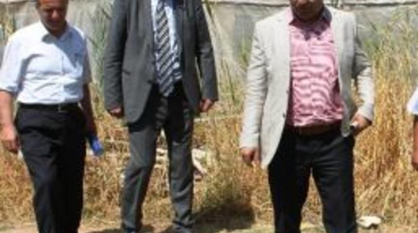 Yağışların Az Olması Tarımı Olumsuz Etkiledi