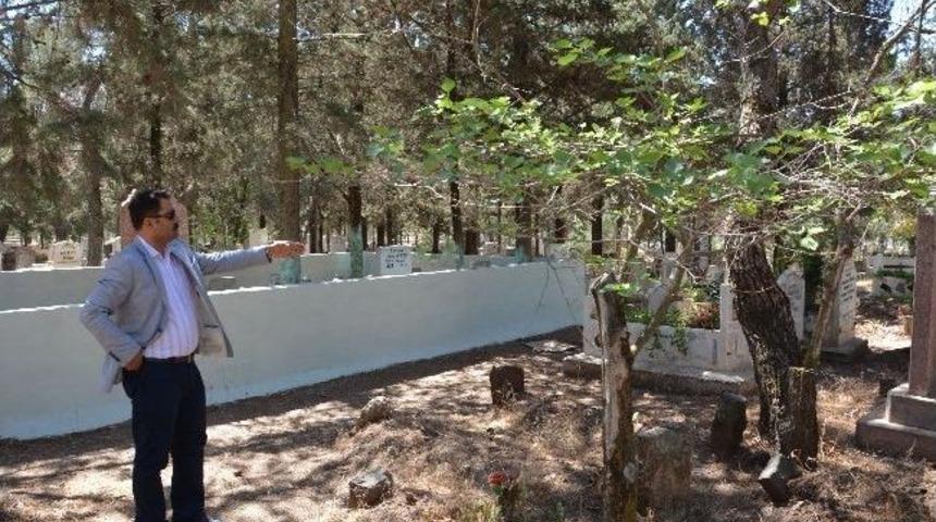 Asri Mezarlık Bakımda