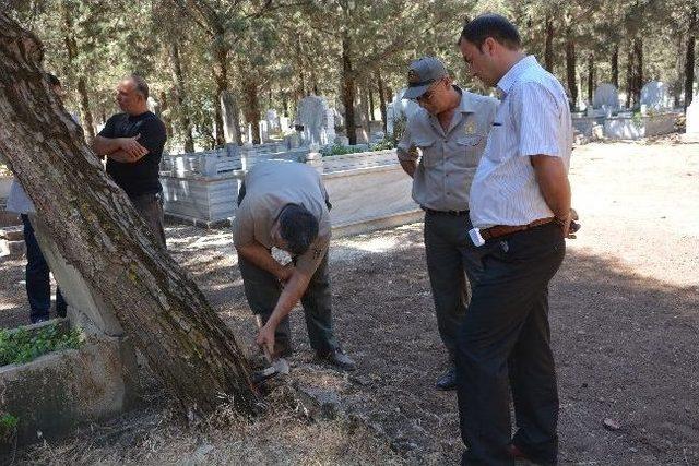 Asri Mezarlık Bakımda