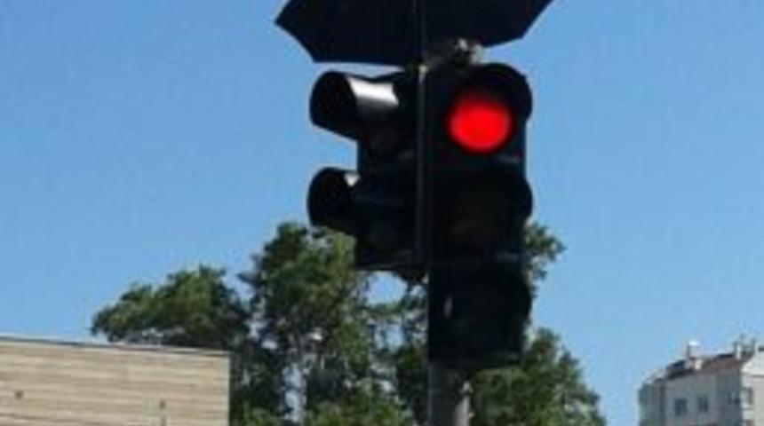 Trafik Lambasına Yuva Yapan Kumruya Şemsiyeli Koruma