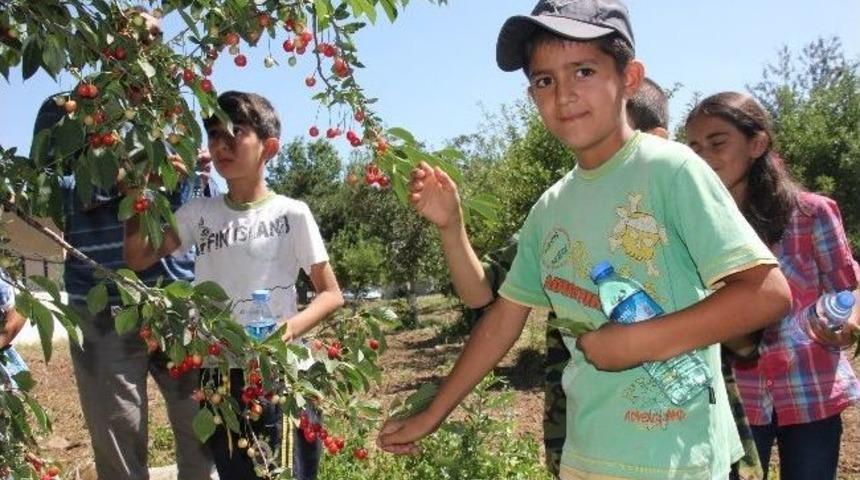 &Ouml;ğrenciler Tarım Kampına Alındı