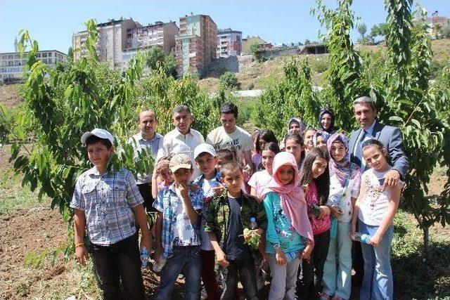 Öğrenciler Tarım Kampına Alındı