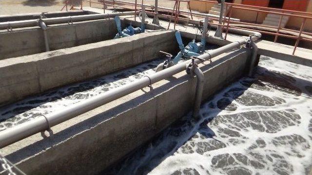 Irak’taki Olaylar Mardin Ekonomisini Olumsuz Etkiledi 1