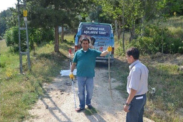 Konteynerde Yakalanan Yılan Doğaya Bırakıldı