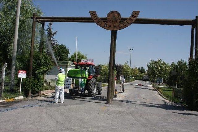 Karatay’da Yeşil Alan Ve Parklar İlaçlanıyor