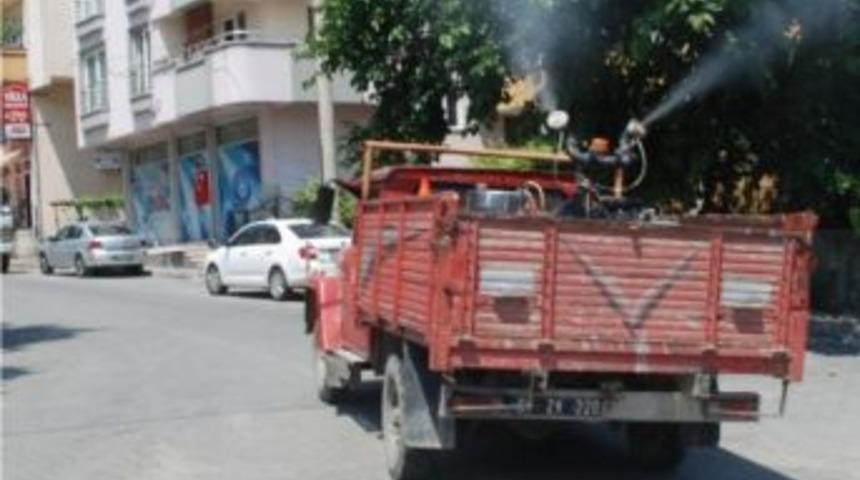 &Ccedil;aycuma Belediyesi İl&ccedil;ede İla&ccedil;lama &Ccedil;alışması Başlattı