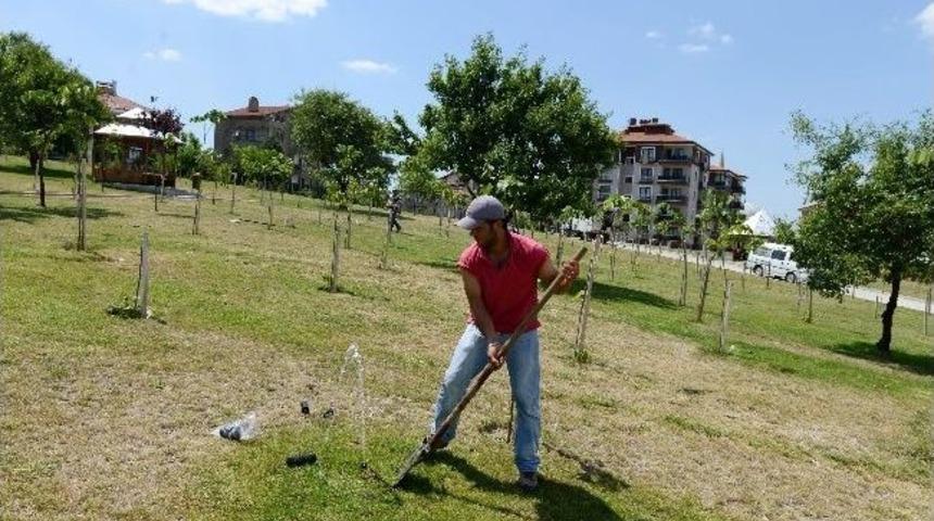 Fıskiyeleri Kırdılar