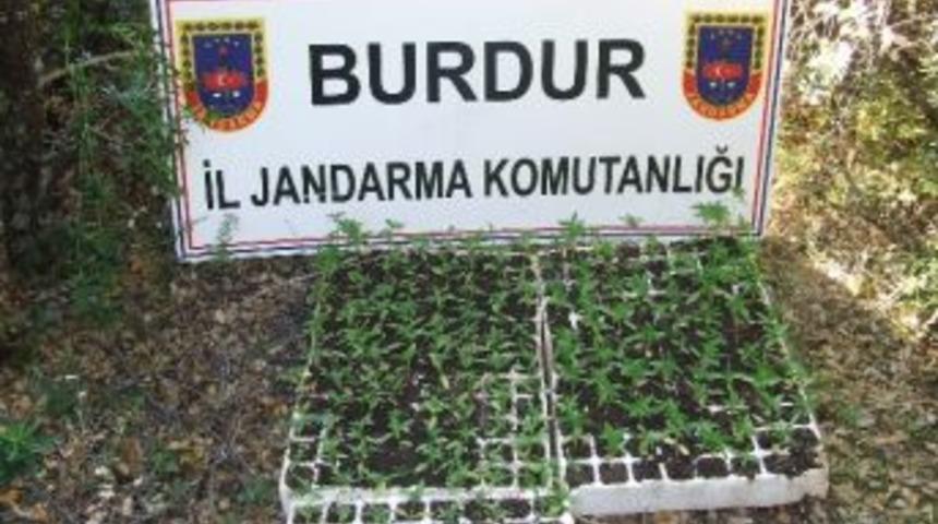 Jandarmadan K&ouml;yde Uyuşturucu Operasyonu