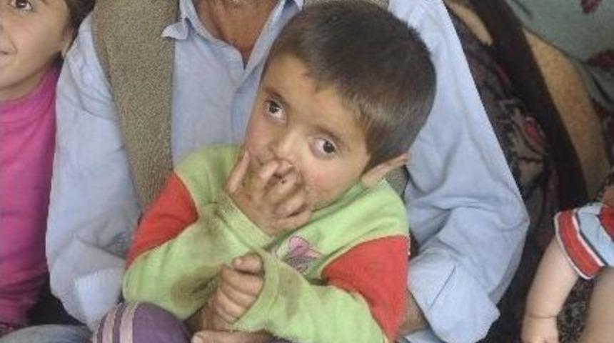 Bayat Ailesinin Dramı