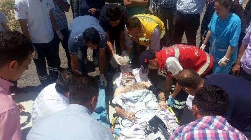 Veteriner Aşı Yaptığı İneğin Tepmesiyle Hastanelik Oldu