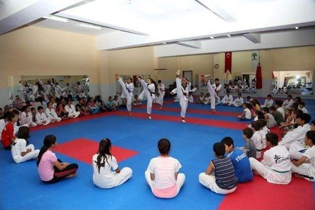 Şampiyon Taekvandocular Şehitkamil’de Yetişecek