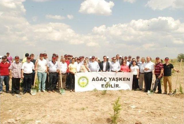 Eskişehir de Yeşil Atak 1