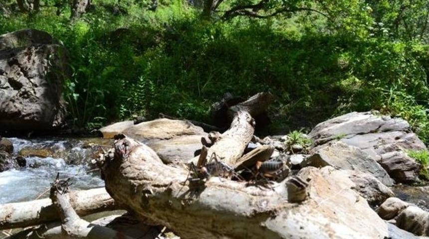 Van&rsquo;da &Ccedil;ekirge İstilasıyla M&uuml;cadele &Ccedil;alışması