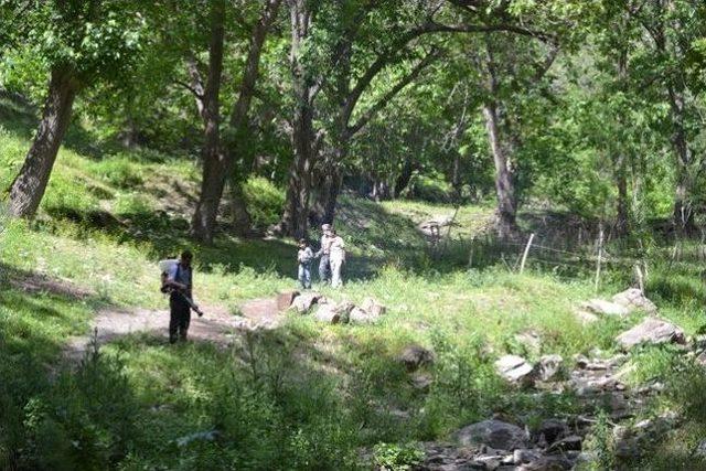 Van’da Çekirge İstilasıyla Mücadele Çalışması