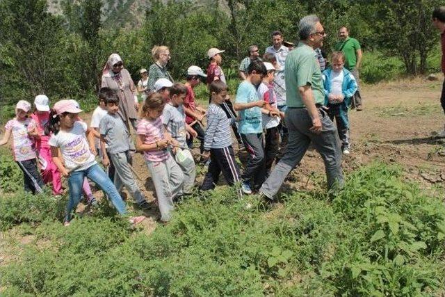 Bilecik'te “lider Çocuk Tarım Kampı” Düzenlendi