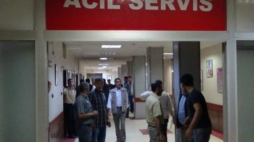 Gen&ccedil; Kız Başur &Ccedil;ayı&rsquo;nda Boğuldu