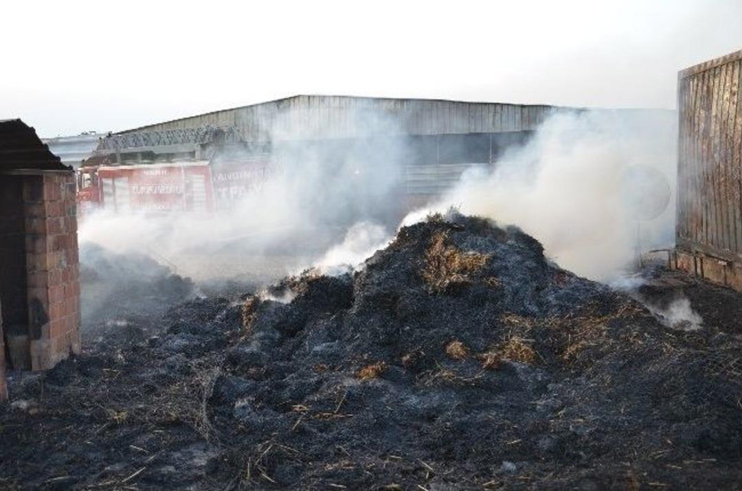 Ağılda &Ccedil;ıkan Yangında 150 K&uuml;&ccedil;&uuml;kbaş Hayvan Telef Oldu