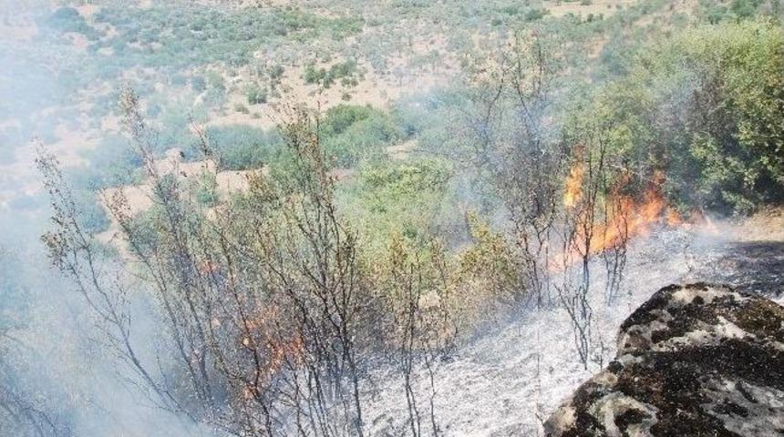 Aydın&rsquo;da 8 Dekar Malilik Alan Zarar G&ouml;rd&uuml;