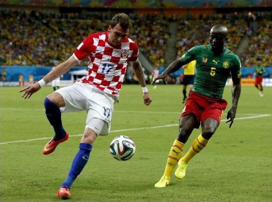 2014 D&uuml;nya Kupası