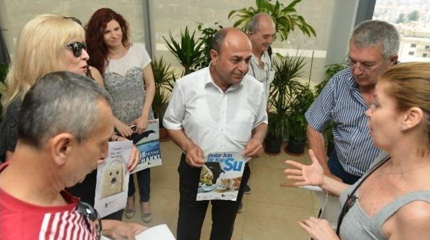 Sokak Hayvanları İ&ccedil;in İşbirliği