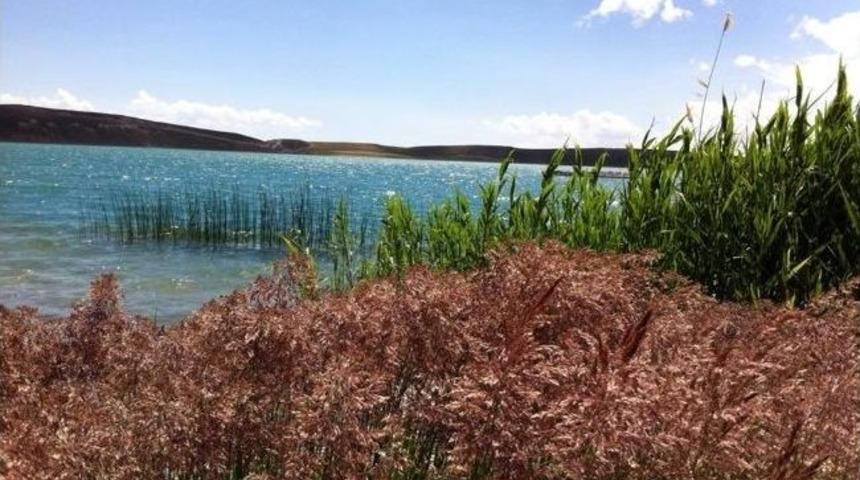 Aygır G&ouml;l&uuml; Yok Olma Tehlikesiyle Karşı Karşıya