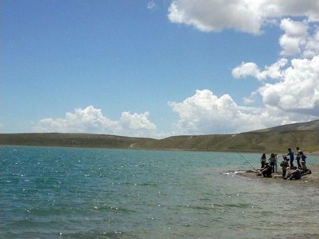 Aygır G&ouml;l&uuml; Yok Olma Tehlikesiyle Karşı Karşıya 2