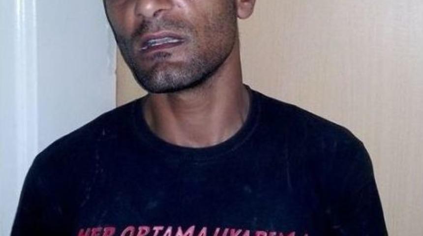 "her Ortama Uyan" Hırsız Zanlıları