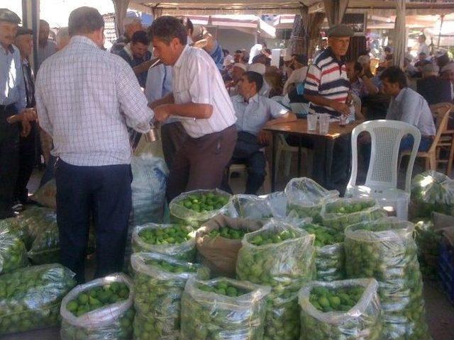 Aydın’da İlek Pazarları Kuruldu