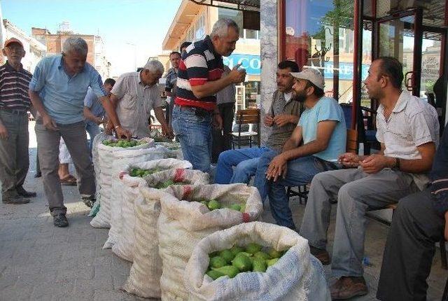 Aydın’da İlek Pazarları Kuruldu