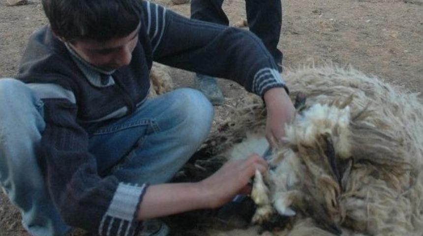 Okul Bitti &Ccedil;ocuklar İş Başında