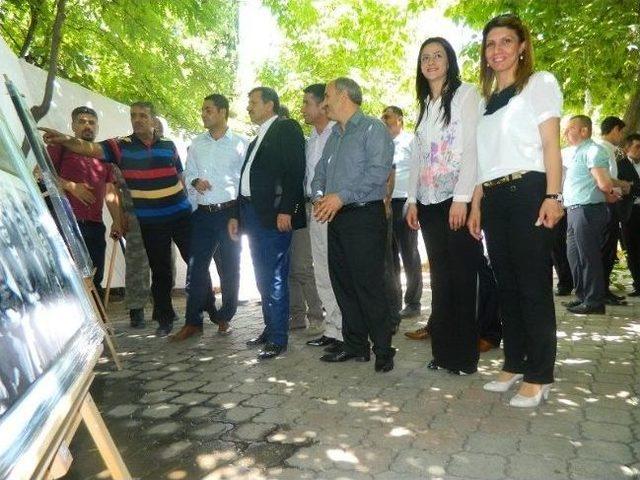 Sydv Ve Adem&rsquo;in Yıl Sonu Sergisi 1