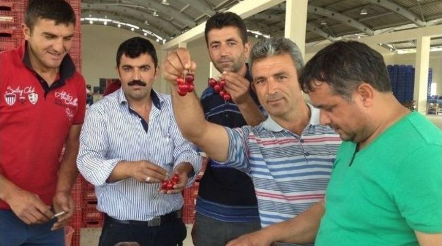 Pazarlar&rsquo;da Kiraz Sezonu A&ccedil;ıldı