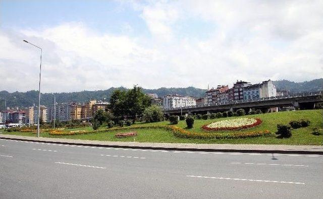 Rize Çiçek Açıyor 2