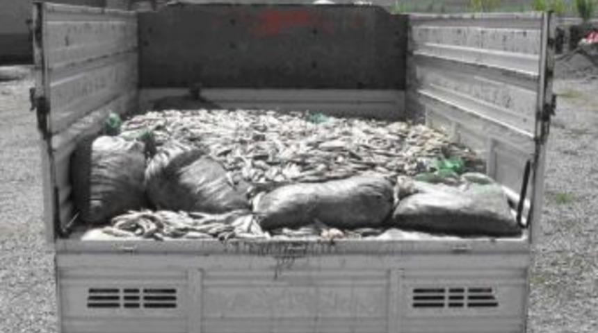 Van&rsquo;da İnci Kefali Operasyonu