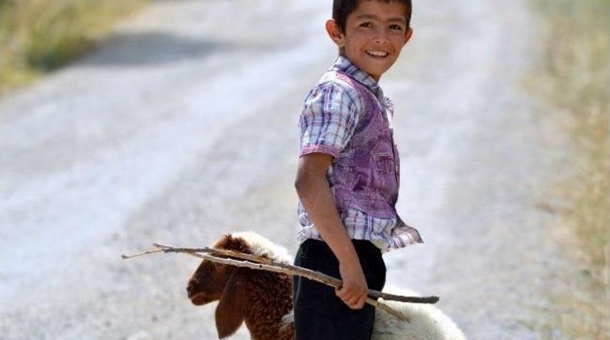 Trt Haber Hakkari Belgeselini Ekrana Taşıyor