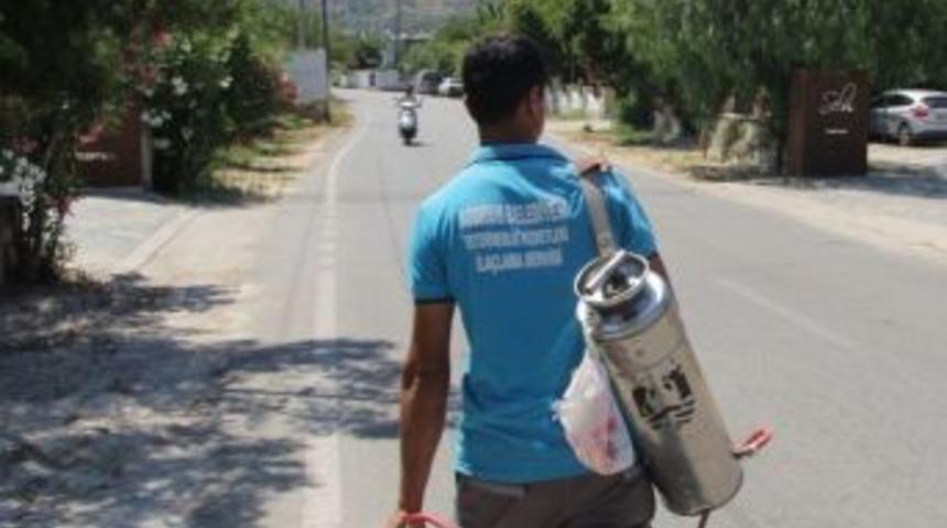 Bodrum Belediyesi Haşereyle M&uuml;cadeleye Devam Ediyor