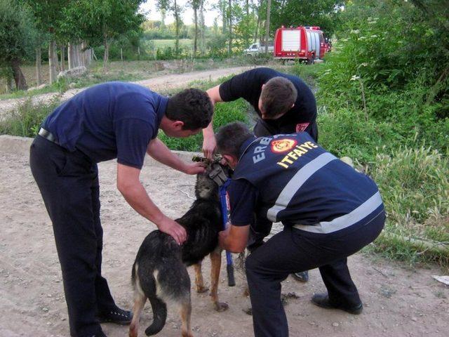 Direğe Bağlanan Köpeğe Itfaiyeden Yardım Eli