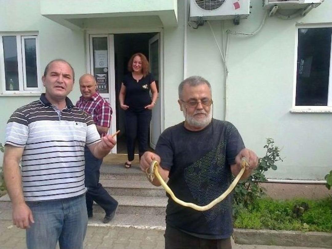Edremit&rsquo;te Ara&ccedil;lar Yılan Kaynıyor