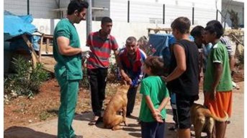 Vatandaşlara Kuduz Uyarısı