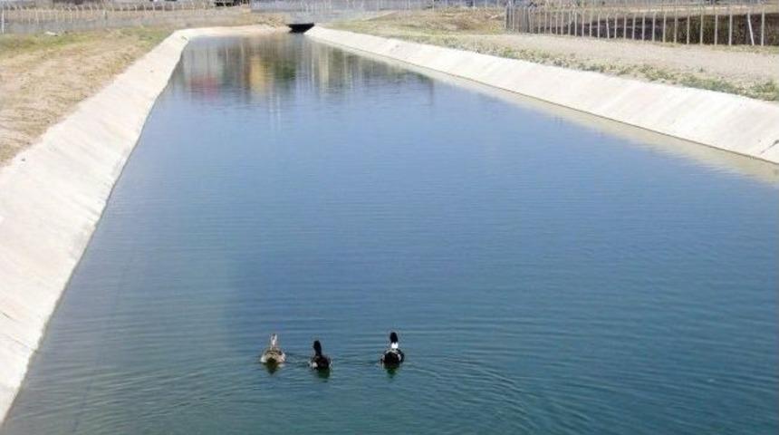 İki Kardeş Boğulmaktan Son Anda Kurtuldu