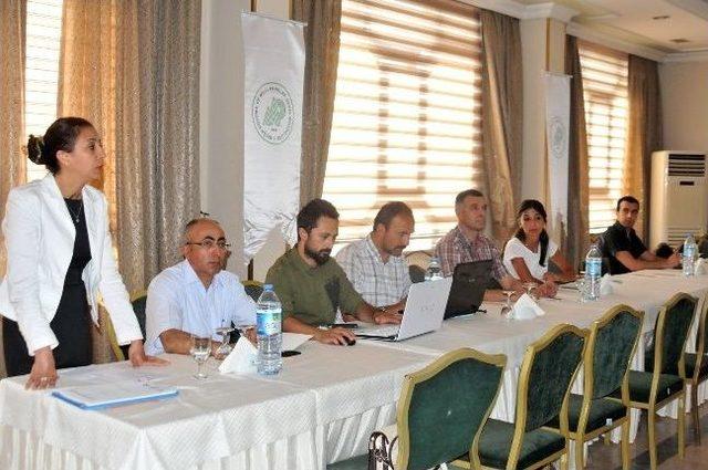 Yalova'da İlk Kez Yaban Kedisine Rastlandı