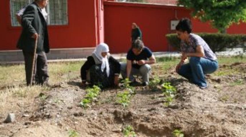 Kulu Belediyesi Yaşam Merkezi&rsquo;nde Hobi Bah&ccedil;eleri