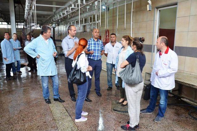 Boyabat Belediyesi'nin Mezbahasına AB Denetimi