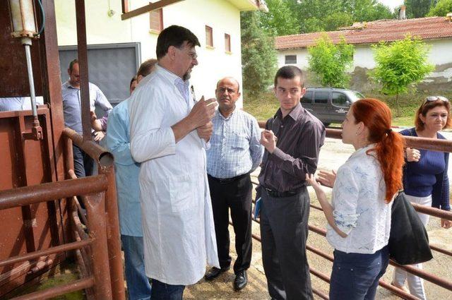 Boyabat Belediyesi'nin Mezbahasına AB Denetimi