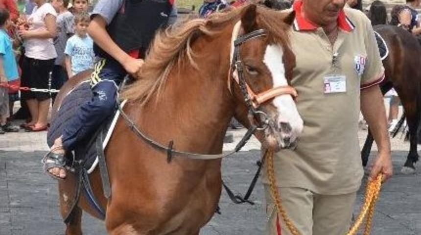 Somalı Yetim &Ccedil;ocuklara At İle Terapi